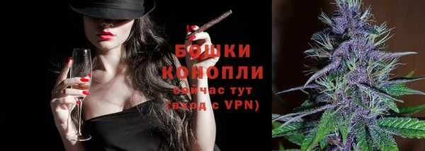 сатива Абинск