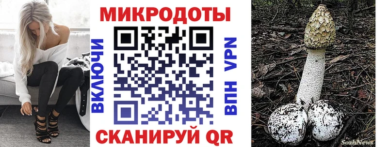 наркотики  Галич  Псилоцибиновые грибы ЛСД 